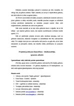 Paraugs 'Sponsorēšanas piedāvājuma pieteikums', 4.