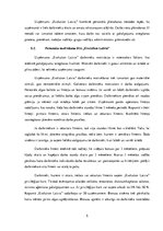 Referāts 'Uzņēmuma SIA "Evolution Latvia" analīze', 5.