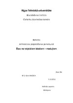 Referāts 'Ēkas no telpiskiem blokiem - moduļiem', 1.