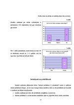Referāts 'Redzes problēmas X vidusskolas skolēniem', 16.