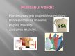 Prezentācija 'Maisiņi', 2.