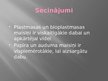 Prezentācija 'Maisiņi', 11.