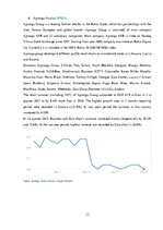 Referāts 'Investment Diary', 13.