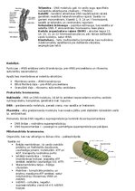 Konspekts 'RSU Molekulārā un šūnu bioloģija 1. kolokvijam vajadzīgais konspekts', 3.