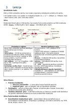 Konspekts 'RSU Molekulārā un šūnu bioloģija 1. kolokvijam vajadzīgais konspekts', 5.