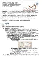 Konspekts 'RSU Molekulārā un šūnu bioloģija 1. kolokvijam vajadzīgais konspekts', 11.