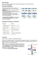 Konspekts 'RSU Molekulārā un šūnu bioloģija 1. kolokvijs', 9.
