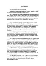 Konspekts 'Baltu etnoģenēze', 1.