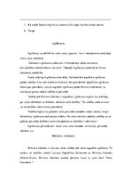 Referāts 'Valsts varas institūcijas', 4.