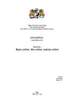 Referāts 'Buka, tilta un kabeļa celtnis', 1.
