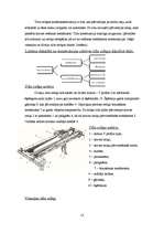 Referāts 'Buka, tilta un kabeļa celtnis', 12.