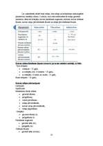 Referāts 'Buka, tilta un kabeļa celtnis', 20.