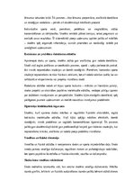 Eseja 'Skola un sports kā holistiskas skolēna attīstības dimensijas: intelekts, ķermeni', 6.