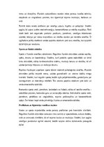 Eseja 'Skola un sports kā holistiskas skolēna attīstības dimensijas: intelekts, ķermeni', 7.