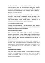 Eseja 'Skola un sports kā holistiskas skolēna attīstības dimensijas: intelekts, ķermeni', 8.