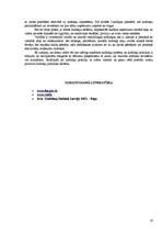 Referāts 'Uzņēmējdarbībā izmantojamie nodokļi', 16.