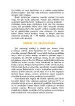 Referāts 'Septiņi pasaules brīnumi', 6.