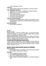 Konspekts 'Pašaprūpes līmeņi', 2.