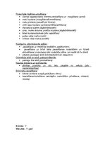 Konspekts 'Pašaprūpes līmeņi', 3.