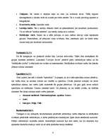 Referāts 'Pētījums par "Latvijas Avīzi". Laikraksta “Latvijas avīze” satura izpēte un atbi', 9.