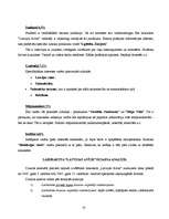 Referāts 'Pētījums par "Latvijas Avīzi". Laikraksta “Latvijas avīze” satura izpēte un atbi', 10.