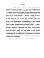 Referāts 'Radošu pusaudžu konfliktu risināšanas stratēģijas', 3.