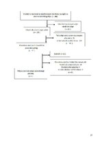 Referāts 'Omega-3 polinepiesātināto taukskābju kardioprotektīvās īpašības', 27.