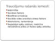 Prezentācija 'Sociālā un speciālā pedagoģija', 6.