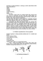 Referāts 'Rotaļu un imitējošo vingrinājumu pielietojums grieķu-romiešu cīņas apmācībā 7-10', 14.