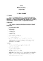 Konspekts 'Biznesa ideja atpūtas kompleksam', 1.