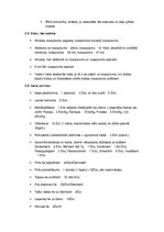 Konspekts 'Biznesa ideja atpūtas kompleksam', 5.