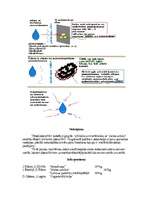 Konspekts 'Kā strādā ūdens filtri', 5.