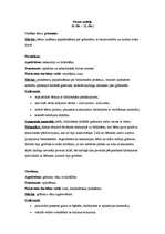 Prakses atskaite 'Kvalifikācijas prakse pirmsskolā', 2.