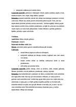 Prakses atskaite 'Kvalifikācijas prakse pirmsskolā', 3.