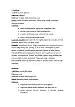 Prakses atskaite 'Kvalifikācijas prakse pirmsskolā', 4.