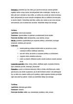 Prakses atskaite 'Kvalifikācijas prakse pirmsskolā', 6.