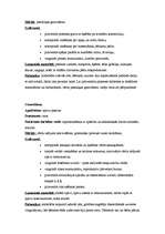 Prakses atskaite 'Kvalifikācijas prakse pirmsskolā', 7.