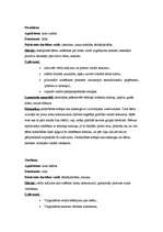 Prakses atskaite 'Kvalifikācijas prakse pirmsskolā', 9.