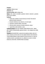 Prakses atskaite 'Kvalifikācijas prakse pirmsskolā', 11.