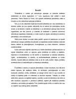 Referāts 'Sociālā kibernētika', 2.