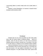 Referāts 'Sociālā kibernētika', 15.