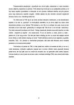 Referāts 'Starpnacionālās kompānijas un to loma pasaules ekonomikā', 17.