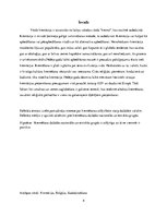 Referāts 'Attieksme pret kremēšanu dažādās nacionālās un etniskās grupās', 4.