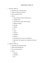 Konspekts 'Funkcionālie valodas stili', 1.