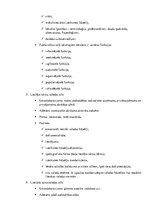 Konspekts 'Funkcionālie valodas stili', 2.