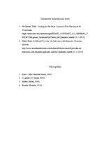 Eseja 'Alehandro Gonsalesa Injaritu filmu analīze', 4.