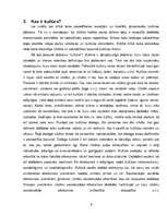 Referāts 'Pampāļu jauniešu brīvā laika pavadīšanas iespējas un tradīcijas 60.–70.gados un ', 11.