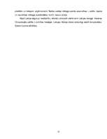 Referāts 'Pampāļu jauniešu brīvā laika pavadīšanas iespējas un tradīcijas 60.–70.gados un ', 15.