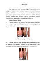 Konspekts 'Apdegumi', 3.