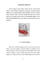 Konspekts 'Apdegumi', 6.